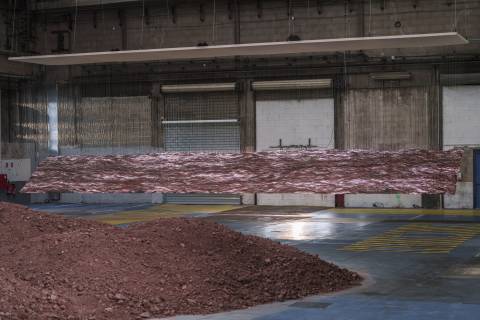 locos_rothschild_dou7414blandinesoulage.jpg